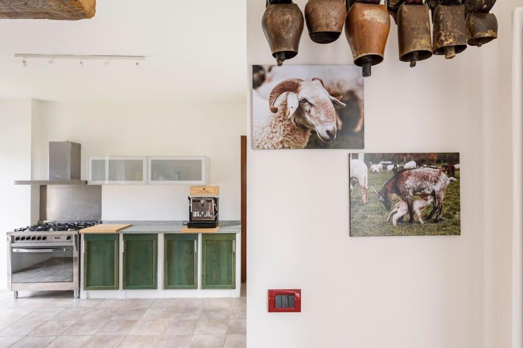 Agriturismo La Margherita San Giorgio Scarampi Екстериор снимка